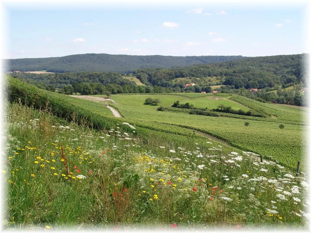 Apartment Ferienwohnung Pfrang Michelau im Steigerwald Germany